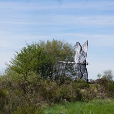 Découverte ludique de la nature dans les Espaces Naturels Sensibles
