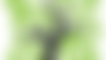 Mobiplus, pour aider à se déplacer