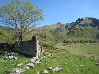 Buron dans le massif du Sancy © SMPNRVA RNNCS.JPG