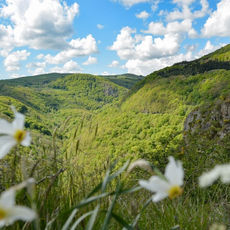 La Réserve naturelle nationale du Rocher de La Jaquette a 50 ans !