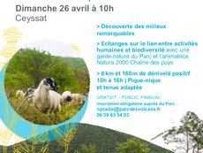 Sortie nature autour du Puy de Côme, le 26 avril 2026