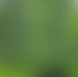 Plan sylvicole territorial des Volcans d’Auvergne : déjà un an !