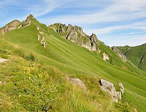 Sortie nature_v2.jpg