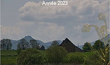 Grenouille © Samuel Giacomelli