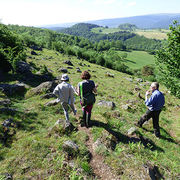 Des agriculteurs du Cantal s'engagent pour la biodiversité