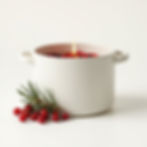 Winter Hearth Simmer Pot
