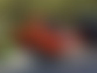 群馬のワンオーナーさん