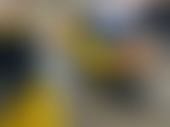 黄色シュノーケルさん