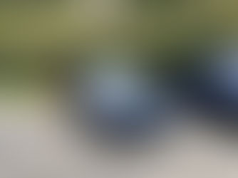 紺メタベルトーネさん