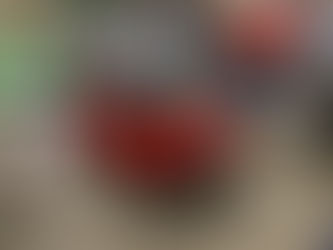 赤1300さん