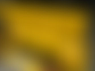 黄色シュノーケルさん