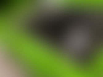 アルフェッタさん