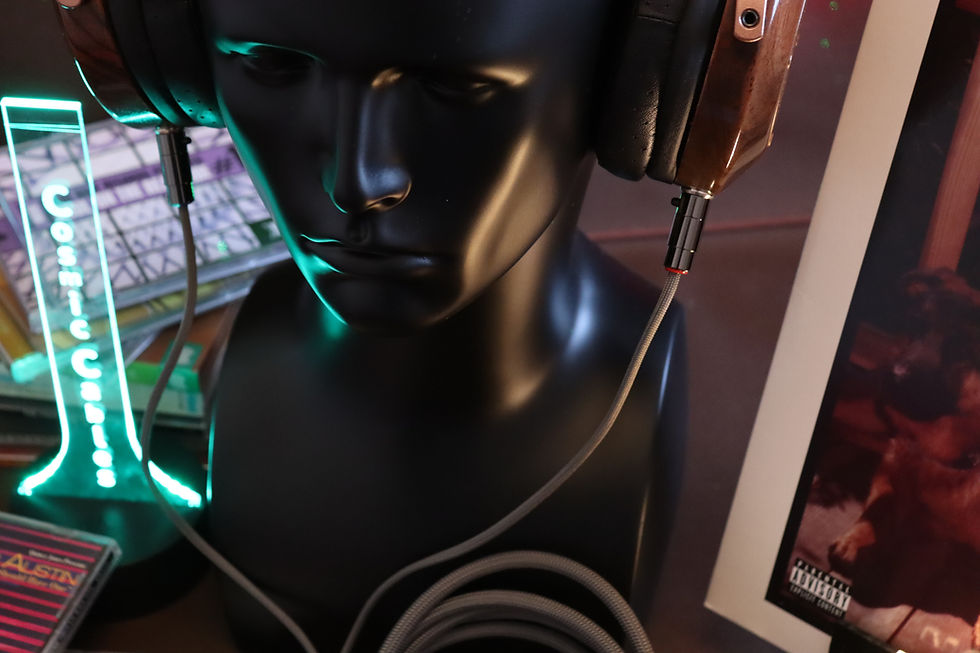 Thumbnail: Dire wolf