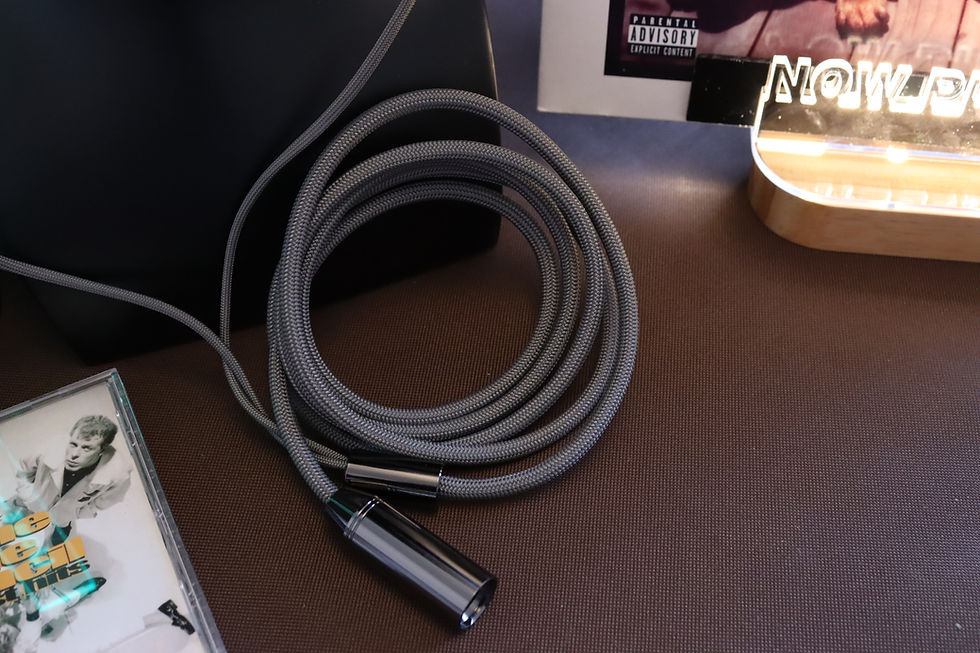 Thumbnail: Dire wolf