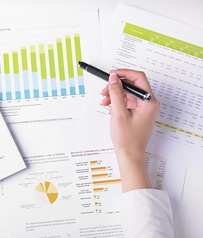 Business Data Analysis