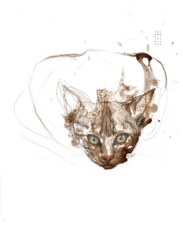 Cat by Sandra Chiocchetti, sketch artist, Zollikerberg, sketching.ch