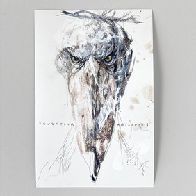 Skizzenkunst von Sandra Chiocchetti