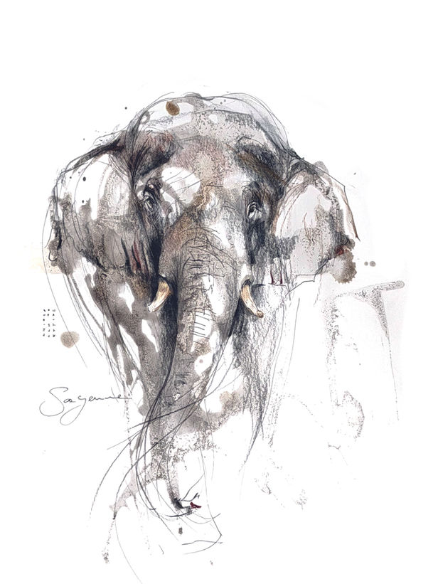 Elefant der Künstlerin Sayenne Sandra Chiocchetti, Tierkunst mit einzigartiger Ausdruckskraft