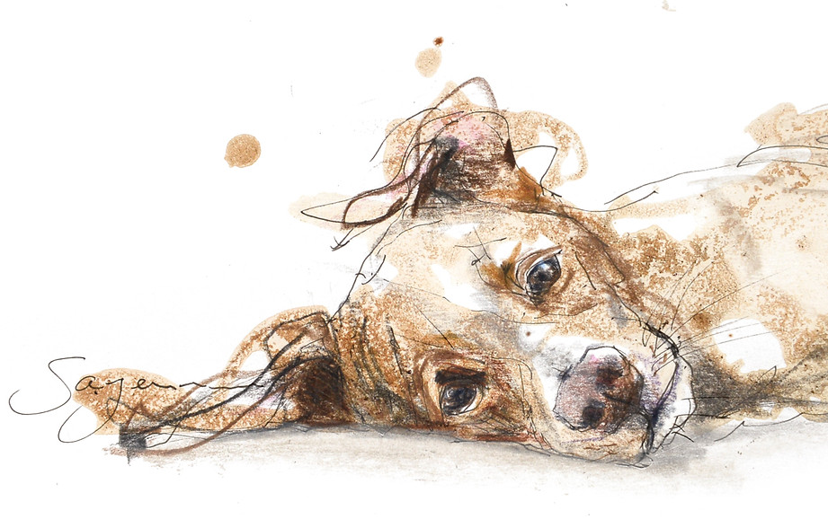 Puppy, young dog, rescue dog, mixed media, art by Sayenne Sandra Chiocchetti, Zollikerberg, sayenne.art