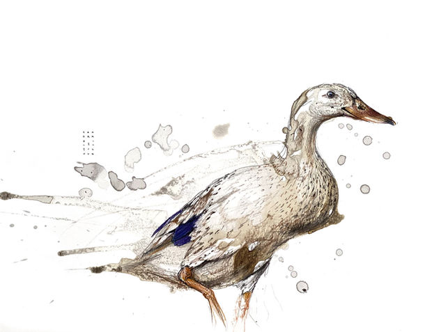 Gans, Mixed-Media, Kunst von Sayenne Sandra Chiocchetti, Zollikerberg, sayenne.art