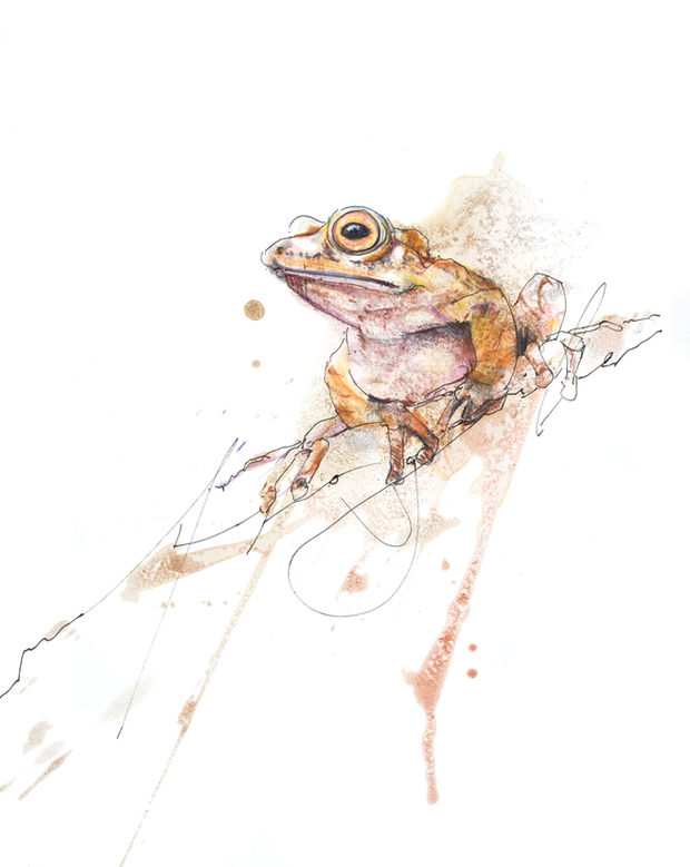 Frosch, Mixed-Media, Kunst von Sayenne Sandra Chiocchetti, Zollikerberg, sayenne.art