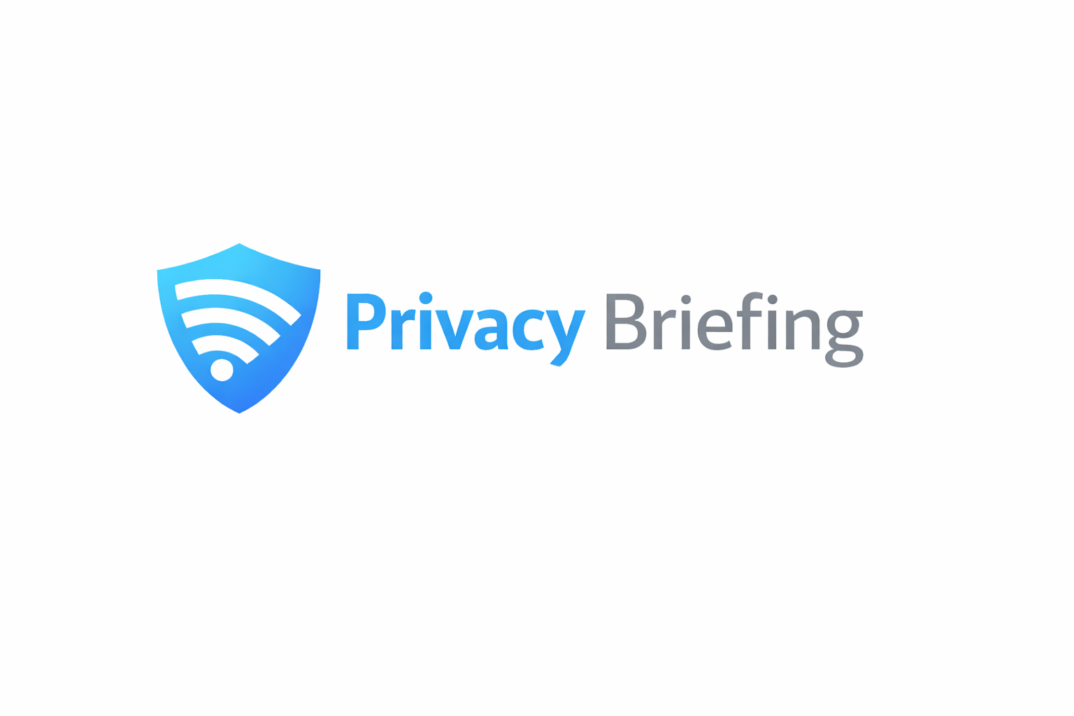 Writer: Privacy Briefing