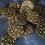 Thumbnail: Animal pattern Buttons