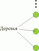 ряд деревьев