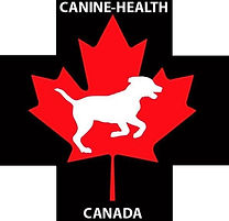 canine CPR.jpeg