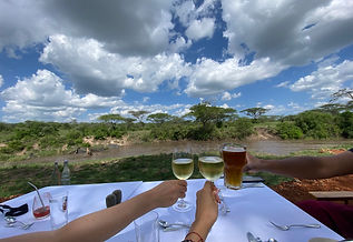 safari, serengeti, celebration, friends, beer, wine, river, lions