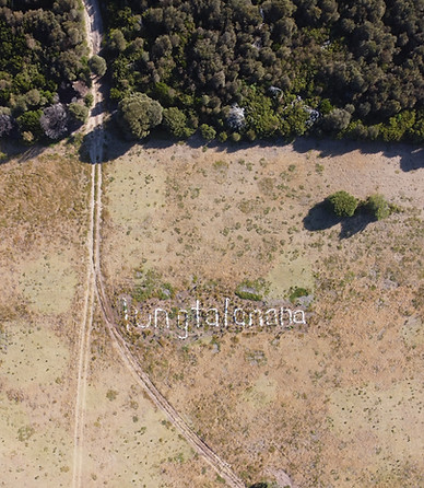 DJI_0499.JPG