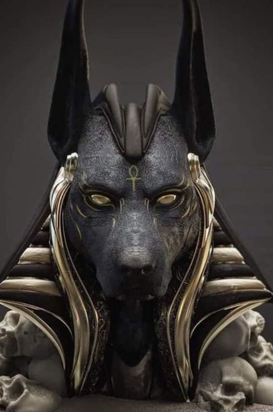 117540977_1572697379562256_5833031679301