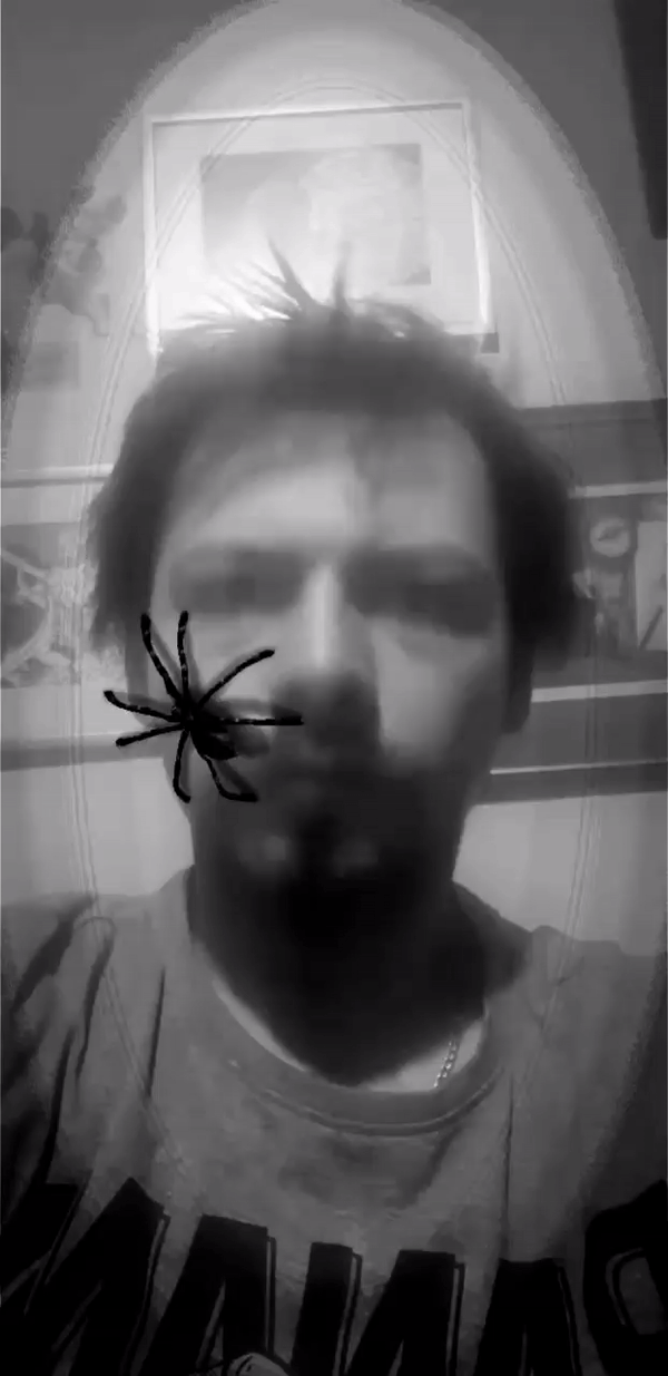 spider.gif