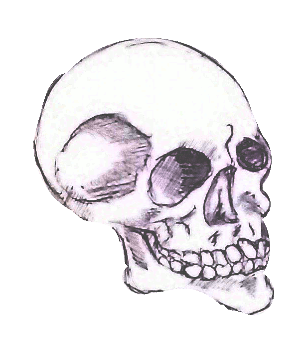 skull.gif