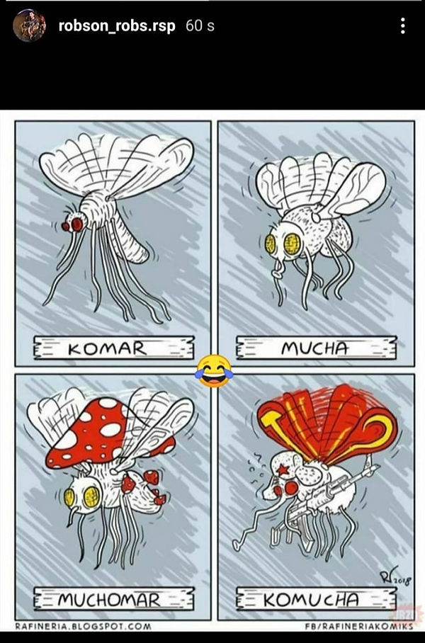 120391652_4582173178522372_5268581314200