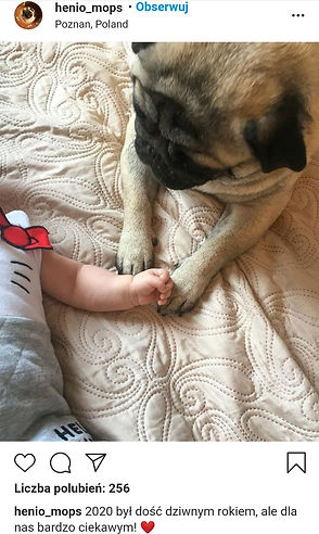 135475293_145441764016308_53711135209925