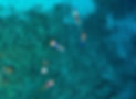 phaisalphotos-maldivesphotographer-640671-unsplash copy_edited.jpg