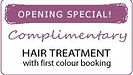 Opening Special Complimentary Hair treatment with first colour booking