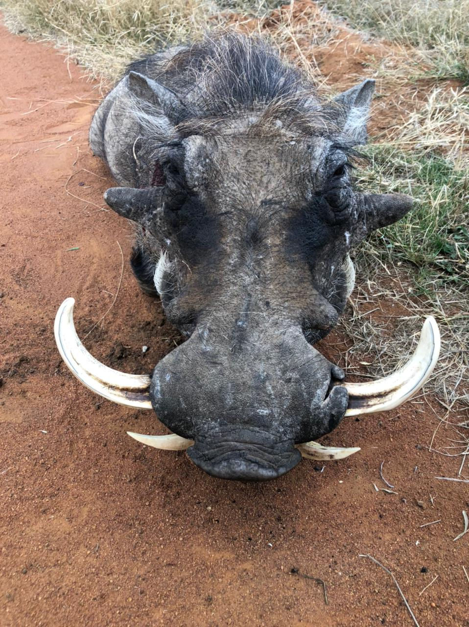 Executive Hunt Africa