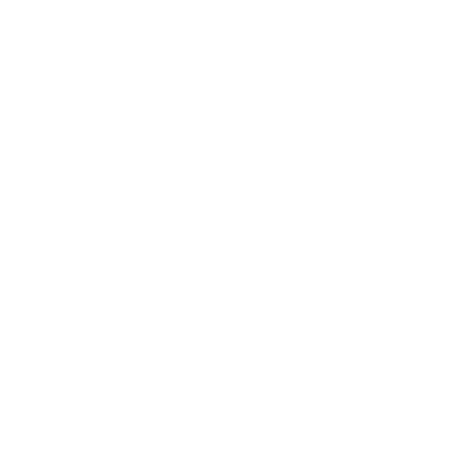 Connxr Logo