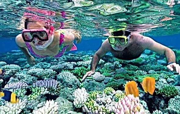 Ustica Palermo Day Tours Www Palermoexcursions Com