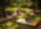 avifauna tabletop.jpeg