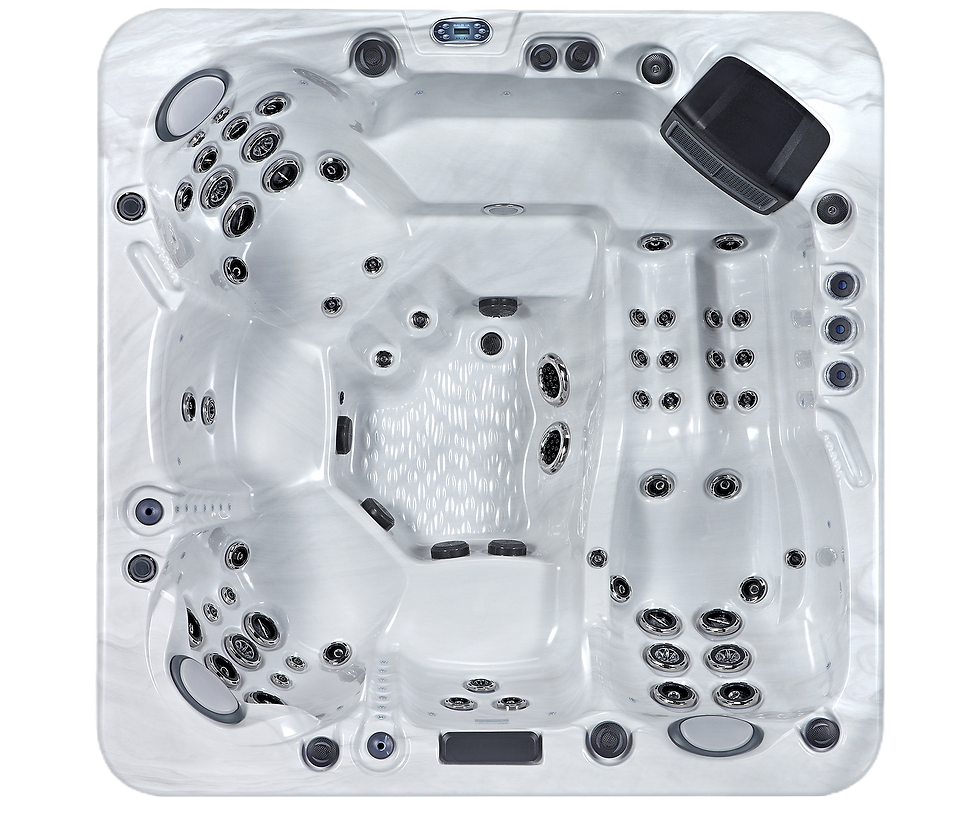 Louise Hot Tub by Healing Waters 