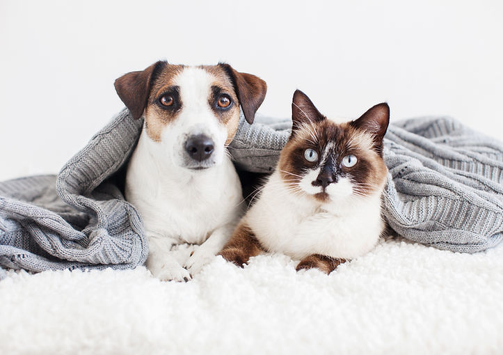 iStock-1414823434.jpg