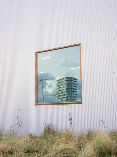 Window with reflection on nature