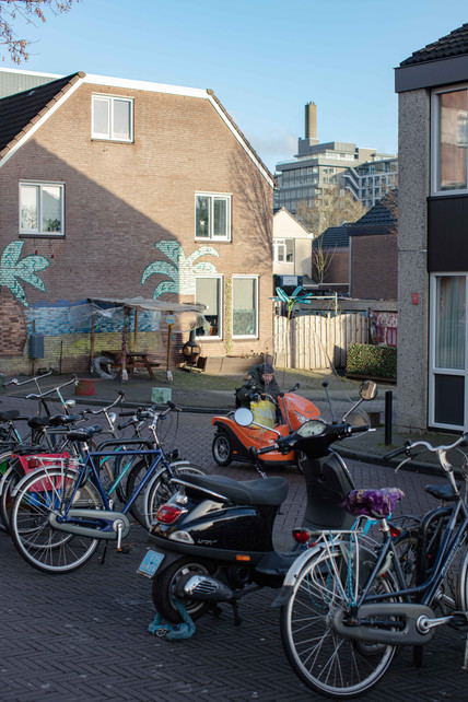 Foto uit documentaire serie Schapen heb je al genoeg | Arnhem | Fotograaf Erik van Cuyk - Photo from documentary series Sheep you already have enough | Arnhem | Dutch Photographer Erik van Cuyk