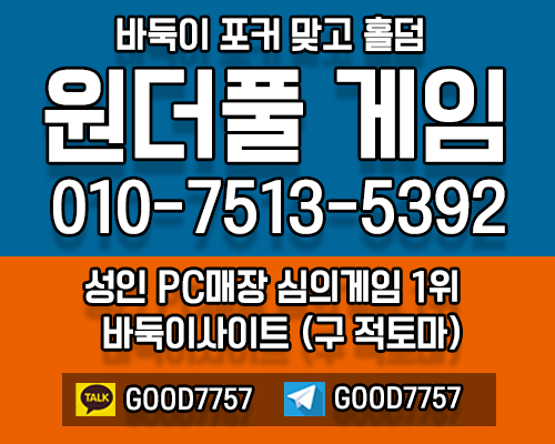 바둑이게임원더풀게임.png