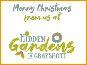 Vanessa's Top Ten Garden Tools and Equipment