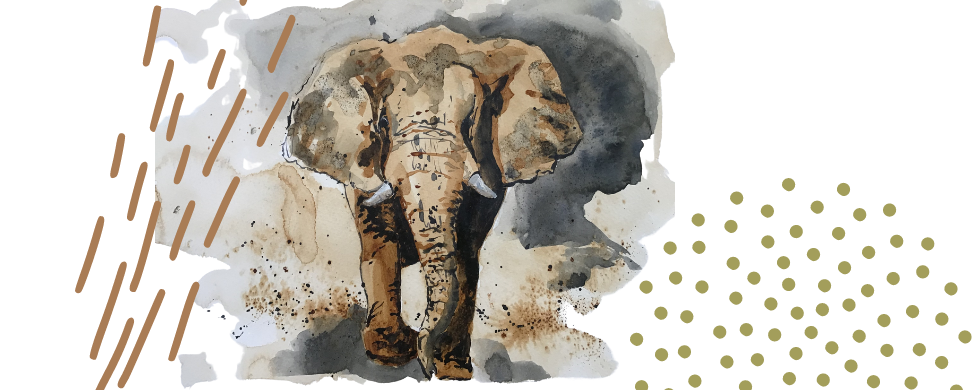 Elephant.png