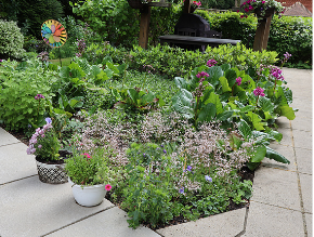 Applications for Funding Gardening Projects are OPEN!